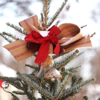 weihnachtsbaum-deko-christbaumspitze-im-freien-rustikal-rustikal-schleifen