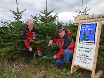 Weihnachtsbaum_schneiden