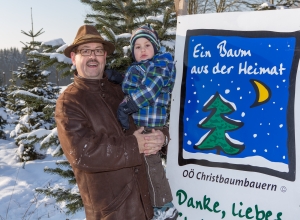 ein_baum_ausder_Heimat