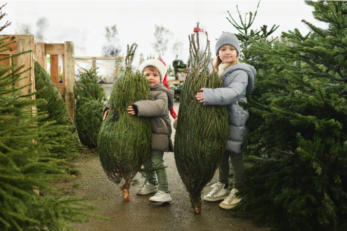 Zwei Kinder die jeweils einen kleinen Christbaum halten