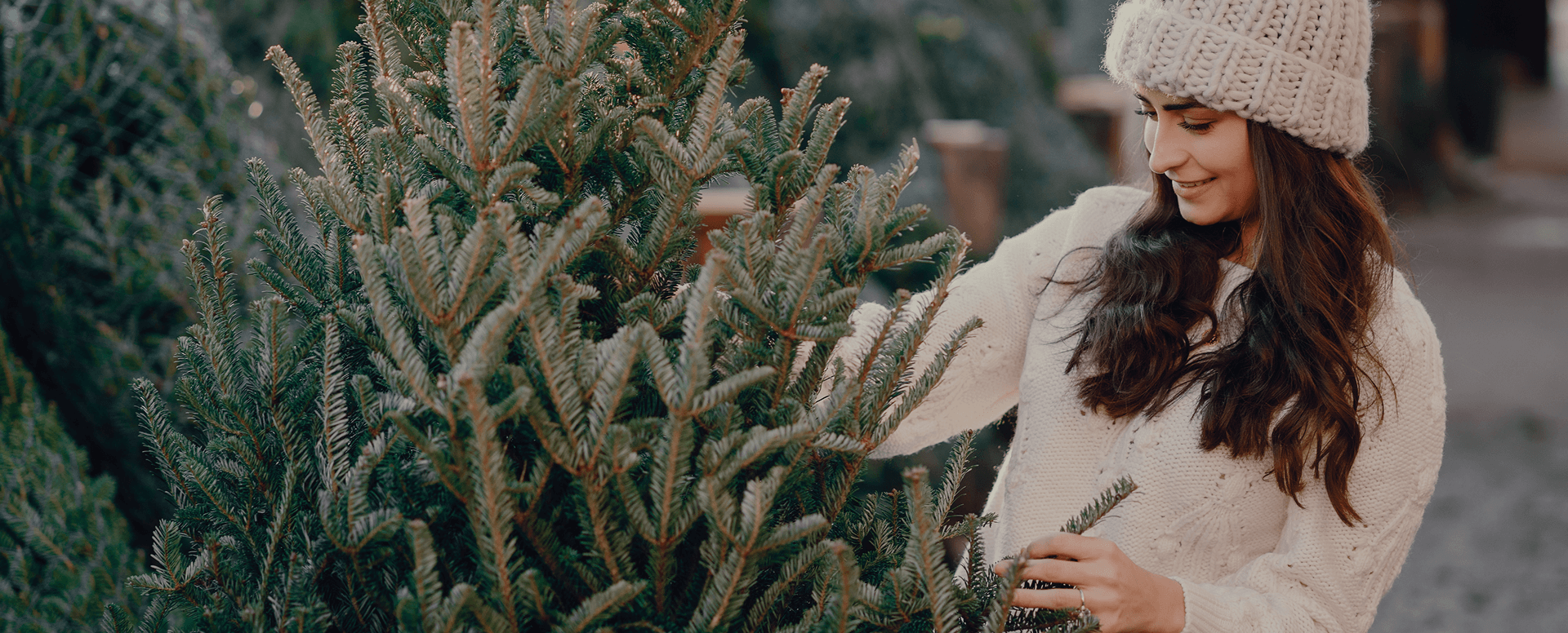 Eine Frau auf der Suche nach einem Christbaum