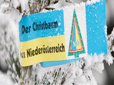 Noe_christbaumschleife_NA_5887_winterschleife