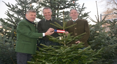 Neue_Schleife_Salzburger_Weihnachtsbaeume