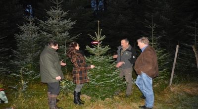 Salzburger_Schleife_Christbaum