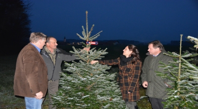 Weihnachtsbaum_neue_Schleife