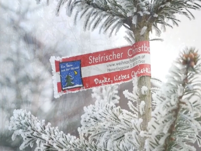 schleife_baum_schnee