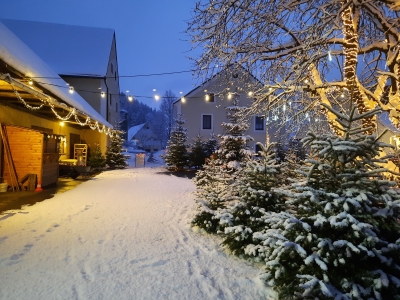 Chrsitbaumverkauf_winterlich_beleuchtet_Abendstimmung