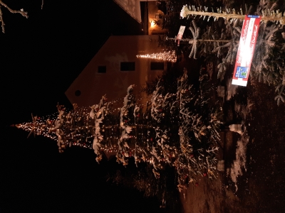 Weihnachtsbaum_mit_Stmk_Schleife