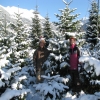 Tunelhof_Familie_Sponring_Tirol_Im_Christbaumwald