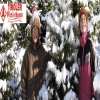 weihnachtsbaum_tirol_bundesland