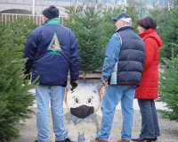 Christbaumverkauf trotz Corona möglich!