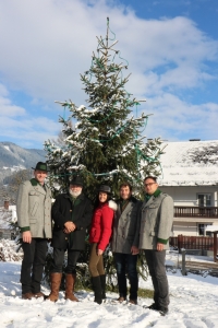 Baum aus der Heimat Steiermark