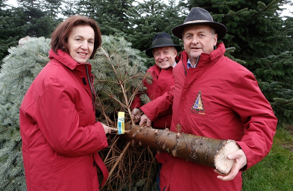 Baum fürs EU-Parlament geschnitten und 200 Jahre Christbaum in Österreich