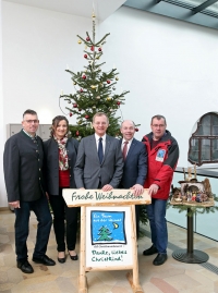 LH Stelzer/LR Hiegelsberger: Freistädter Nordmanntanne schmückt heuer das Linzer Landhaus