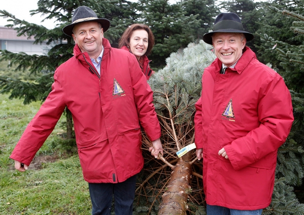 Christbaum-Saisoneröffnung