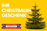 Kooperation der „Steirischen Christbaumbauern“ mit der Kirchenbeitragsstelle