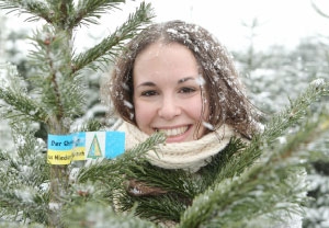 Christbaum aus Niederösterreich